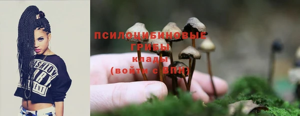 mdpv Каменск-Шахтинский