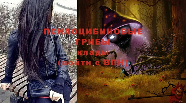 прущая мука Каменка