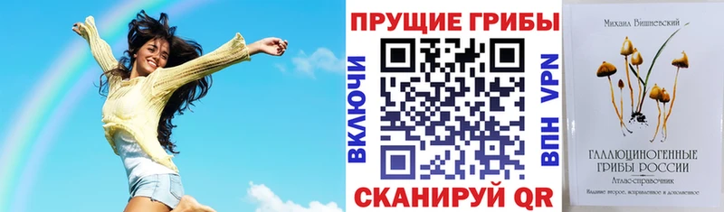 Купить закладки  Донской  Галлюциногенные грибы GOLDEN TEACHER 